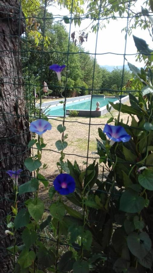 Appartamento Poggio a Sieve Villore Esterno foto