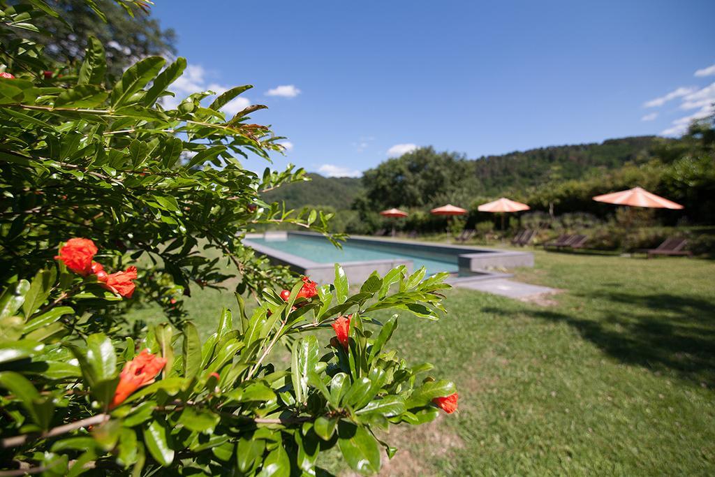 Appartamento Poggio a Sieve Villore Esterno foto